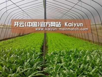 种植基地四