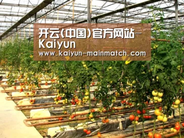 种植基地二(图1)