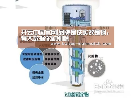 开云中国官网|品牌是铁实效是钢,有大数据你就别慌(图2) 开云官网