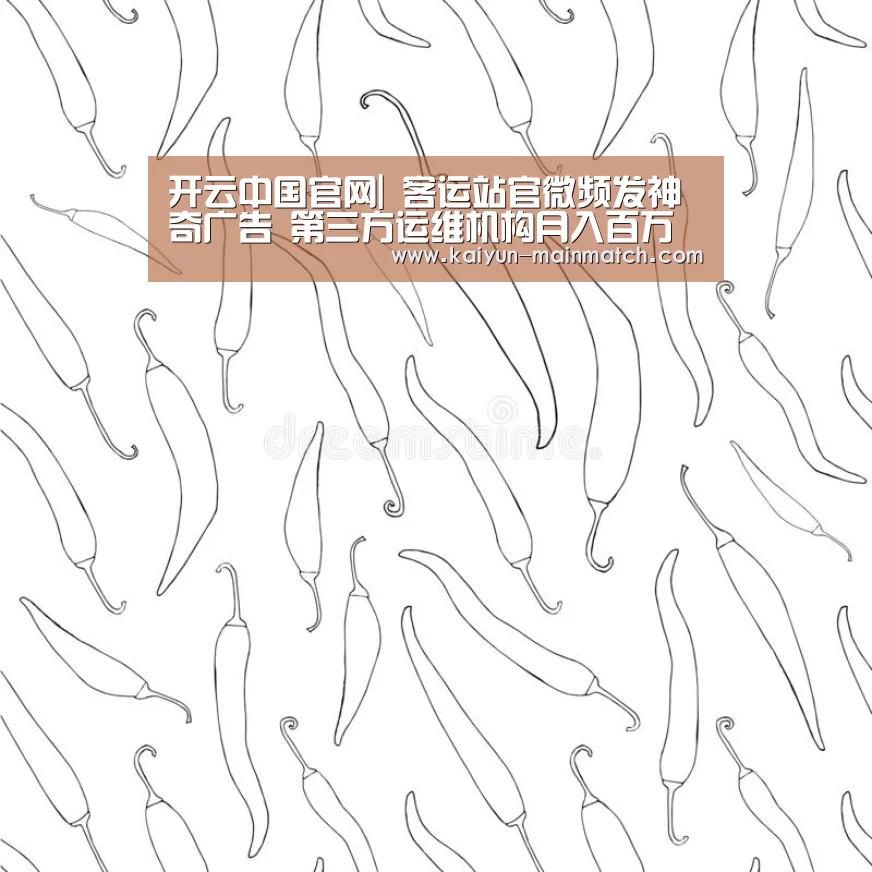 开云中国官网|
客运站官微频发神奇广告 第三方运维机构月入百万(图1) 开云中国官网