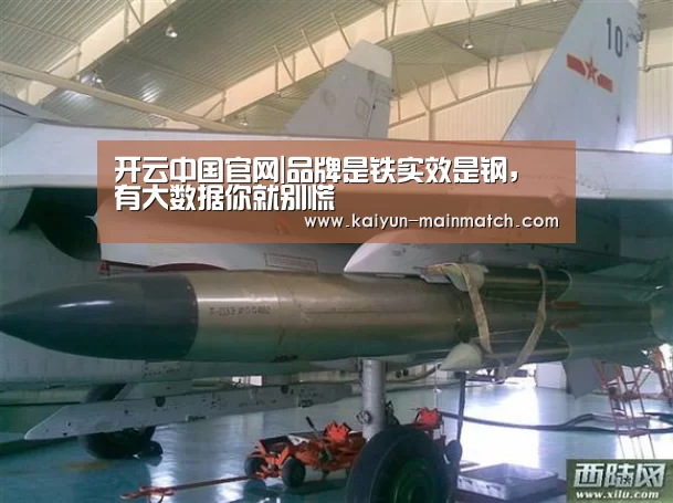 开云中国官网|品牌是铁实效是钢,有大数据你就别慌(图4) 开云官网